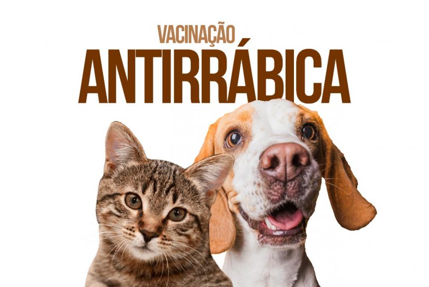 Vacina&ccedil;&atilde;o Antirr&aacute;bica 2026